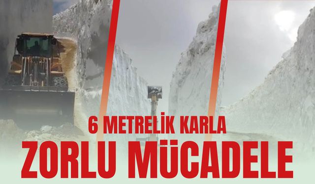 6 Metrelik Karla Zorlu Mücadele
