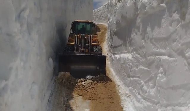 Temmuza Günler Kala Karla Mücadele Devam Ediyor