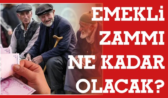 Mayıs Enflasyonu Açıklandı: Emekli Zammı Ne Kadar Olacak?