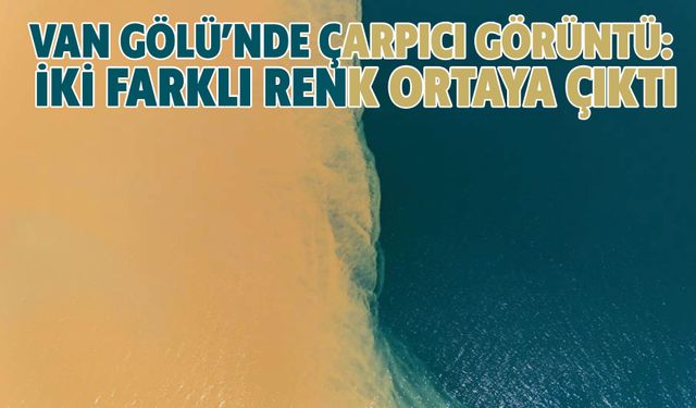Van Gölü’nde Çarpıcı Görüntü:  İki Farklı Renk Ortaya Çıktı