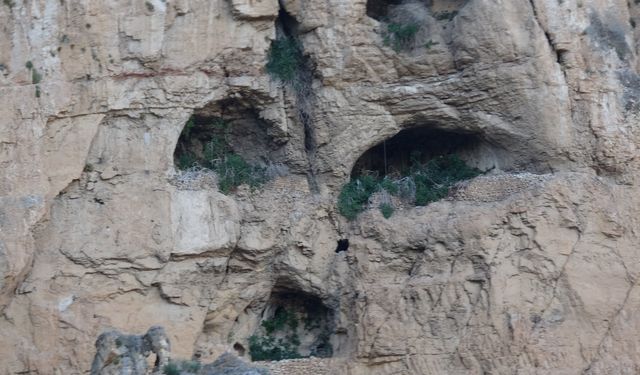 1250 Rakımlı Mağarada İnsan Kemikleri Bulundu