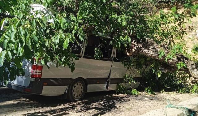 Park Halindeki Araç Bir Anda Enkaz Altında Kaldı!