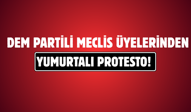 DEM Partili Meclis Üyelerinden Yumurtalı Protesto!