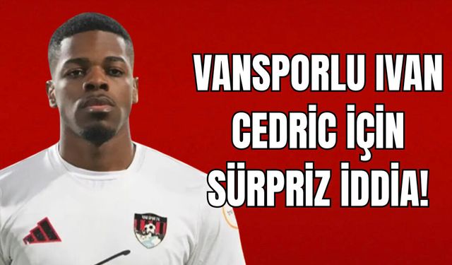 Vanspor’un Gol Makinesi İvan Cedric Bursaspor’un Radarında!