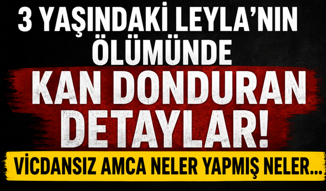 Leyla Aydemir dosyasında şoke eden detaylar...