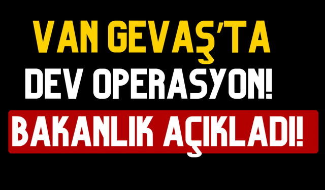 Van Gevaş'ta tıra narkotik baskını!  333 kilo skunk ele geçirildi