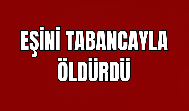 Bitlis'te eşini tabancayla öldüren şüpheli tutuklandı