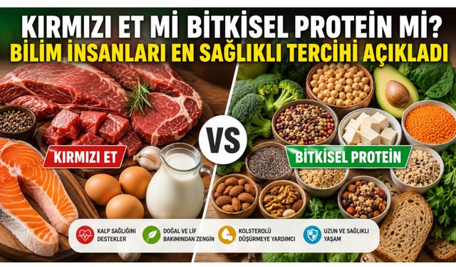Kırmızı Et mi Bitkisel Protein mi? Bilim İnsanları En Sağlıklı Tercihi Açıkladı