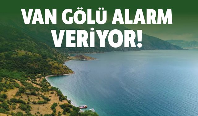 Van Gölü Alarm Veriyor mu? Kıyılardaki Yeşil Görüntü Mercek Altında