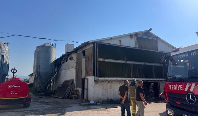 Tavuk Çiftliğinde Korkutan Yangın: 12 Bin Tavuk Telef Oldu