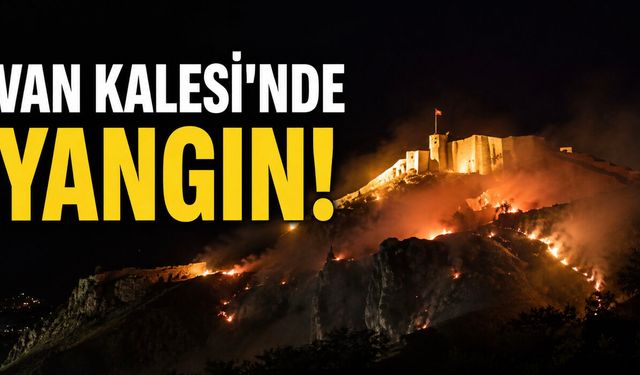 Van Kalesi çevresindeki otluk alanda yangın!