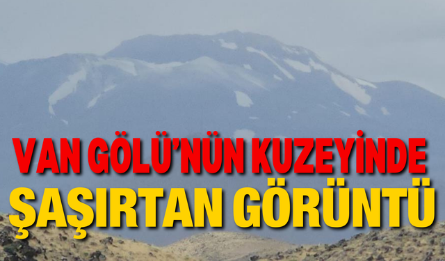 Van Gölü’nün kuzeyinde şaşırtan görüntü