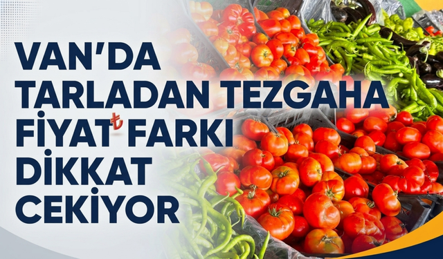 Van’da Sebze Fiyatlarında Dikkat Çeken Makas
