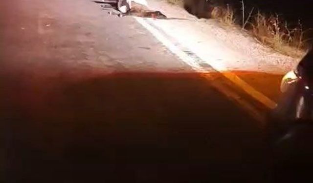 Yüksekova’da Sürüye Otomobil Çarptı: 4 Koyun Telef Oldu