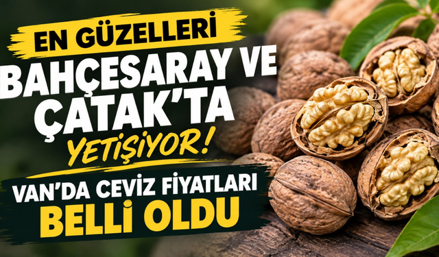 En güzelleri Bahçesaray ve Çatak’ta yetişiyor! Van’da 2026 yılı ceviz fiyatları belli oldu