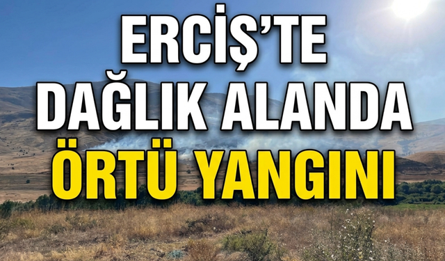 Erciş'te Dağlık Alanda Örtü Yangını
