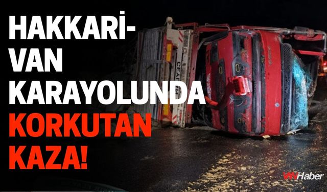Hakkari-Van Karayolunda Korkutan Kaza!