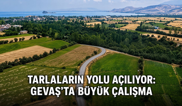 Tarlaların Yolu Açılıyor: Gevaş'ta Büyük Çalışma