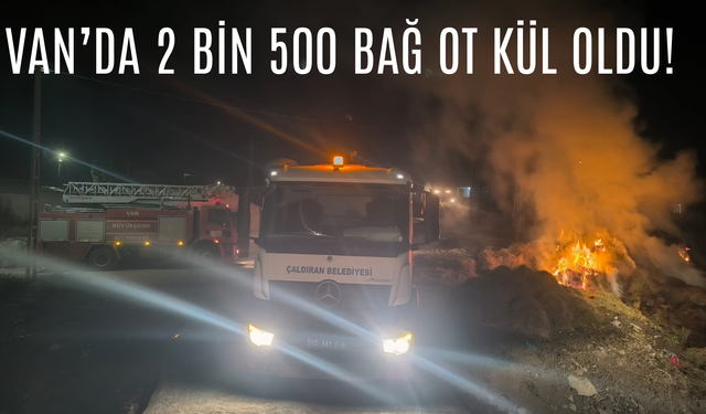 Van’da 2 Bin 500 Bağ Ot Kül Oldu! Yangın 5 Saatte Söndürüldü