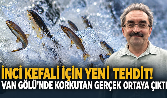 İnci kefali için yeni tehdit! Van Gölü’nde mikroplastik alarmı