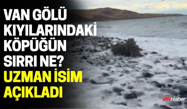 Van Gölü Kıyılarındaki Köpüğün Sırrı Ne? Uzman İsim Açıkladı