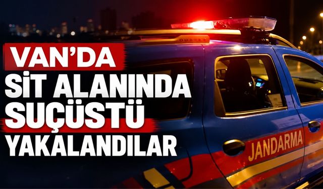 Van’da Sit Alanında Suçüstü Yakalandılar