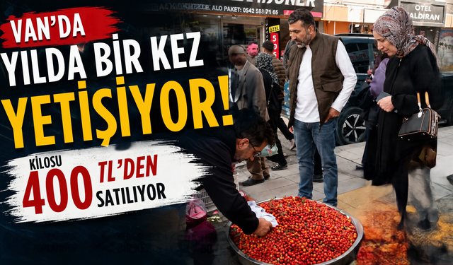 Van’da Yılda Bir Kez Yetişiyor! Kilosu 400 TL’den Satılıyor