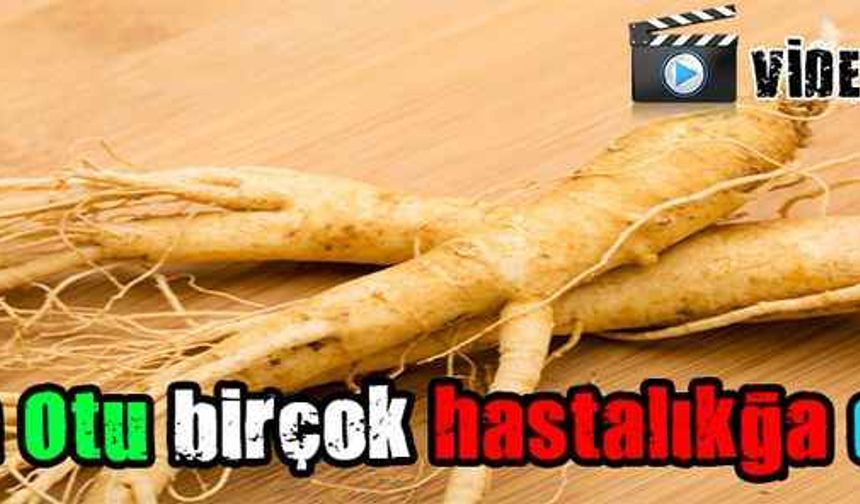 Adam Otu birçok hastalıkğa deva!