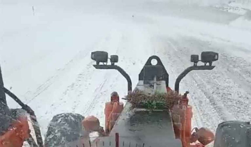 Tendürek Geçidi tipi nedeniyle trafiğe kapatıldı!