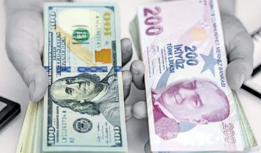 Tarihi Rekor Kırdı! Dolar  zirveye ulaştı