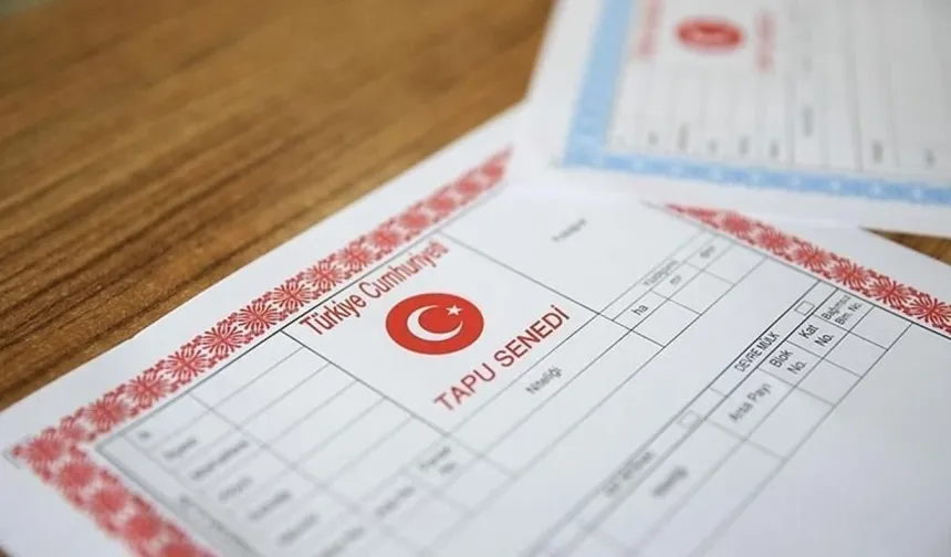 Van’da Tapu İşlemlerine Dikkat: Mülk Alım-Satımında Bu Detaylar Gözden Kaçmasın
