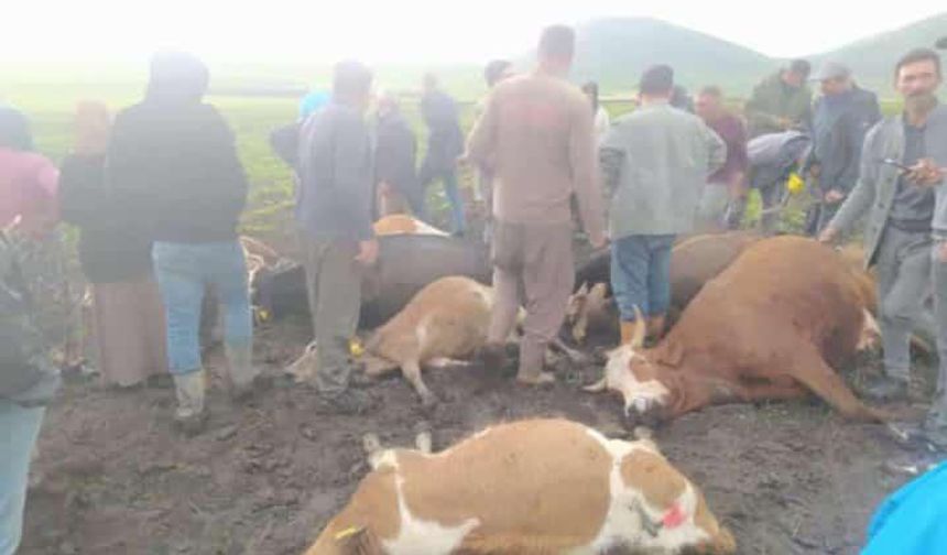 Yıldırım Büyükbaş Sürüsüne İsabet Etti: 2 Çoban Yaralandı, 10 Hayvan Telef Oldu