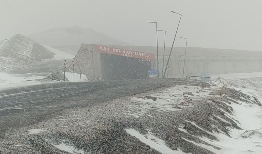 Van'da Lapa Lapa Kar Yağdı!
