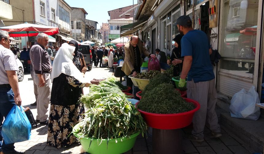 Van’ın Dağları Şifa Saçıyor