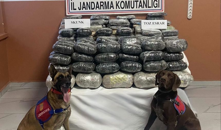 Van’da Kilolarca Ele Geçirildi!