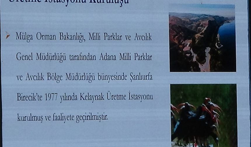 Van’da Sırları Açığa Çıkarılıyor, Kurtulabilecekler Mi?