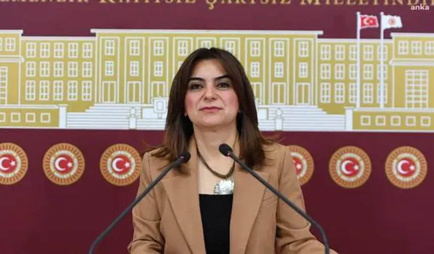 Kayyumlar Bitiyor mu! Van’a Atanan Kayyuma Ne Olacak? İşte Dem Partiden O Açıklama Geldi!