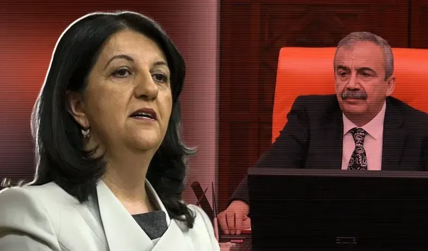 Sırrı Süreyya Önder'in yerine Van Milletvekili Geçecek!