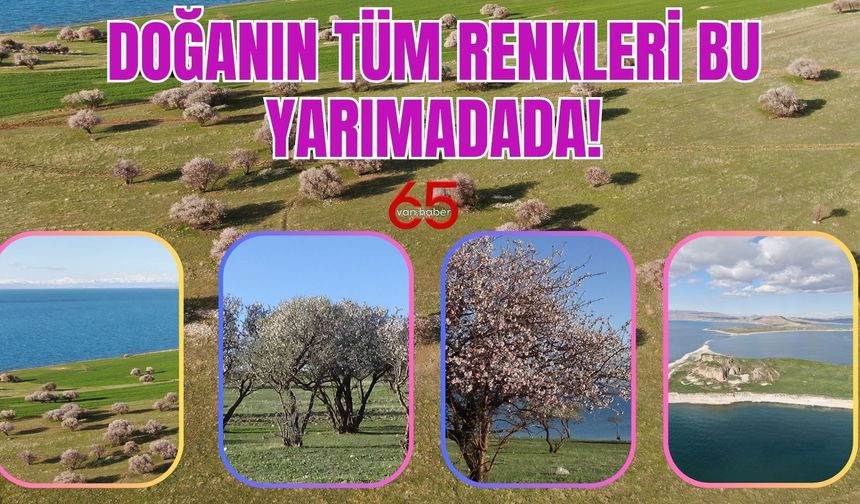 Van'da Doğanın Tüm Renkleri Bu Yarımadada!