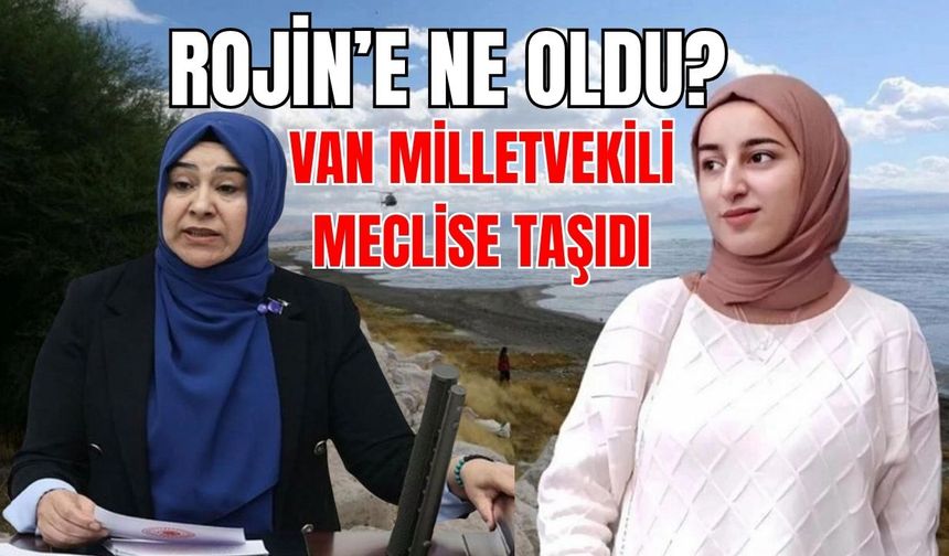 Van Milletvekili Meclis’e Taşıdı: Rojin Kabaiş’in Ölümü Neden Aydınlatılamadı?