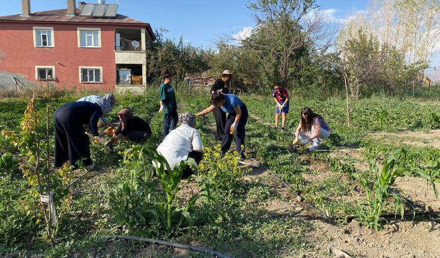 Van'da Üretim Heyecanı Başladı!