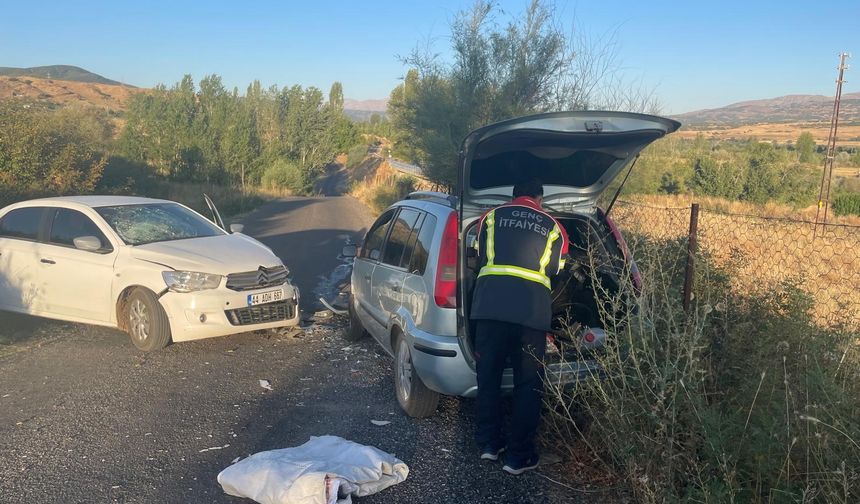 Bingöl’de Korkutan Trafik Kazası: 3 Yaralı