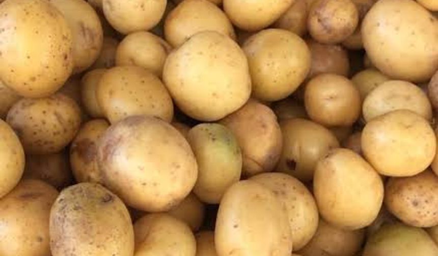 Van’da Patates Fiyatları Hâlde Sabit, Pazarda Yükseliyor