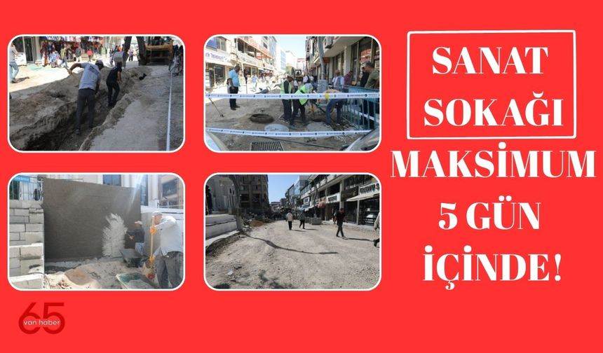 İpekyolu Belediyesi Sanat Sokağını Yeniliyor