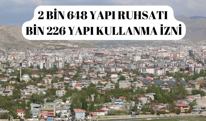 Van ruhsat alımı liderliğini koruyor
