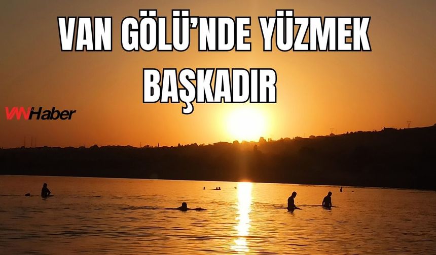 600 Bin Yıllık Bir Van Gölü Hazinesi Var!