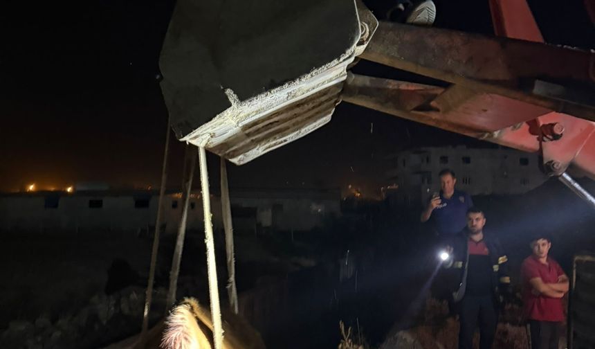 Siirt’te Atık Su Kanalına Düşen İnek, Kepçe ve Halatla Kurtarıldı