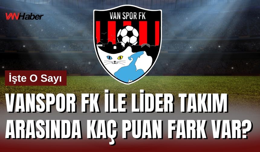 Vanspor FK ile Lider Bodrum FK Arasında Kaç Puan Fark Var?