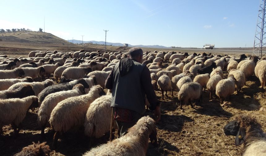Göçerlerin Zorlu Kış Yolculuğu Başladı
