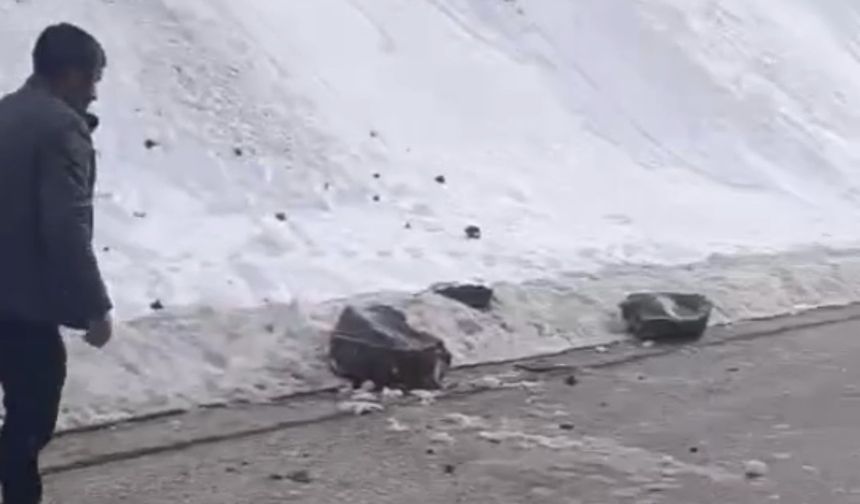 Dev Kaya Parçaları Karayoluna Düştü!